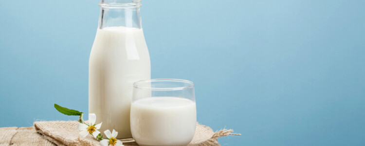 Padaria