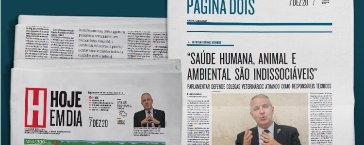 Sitejornal